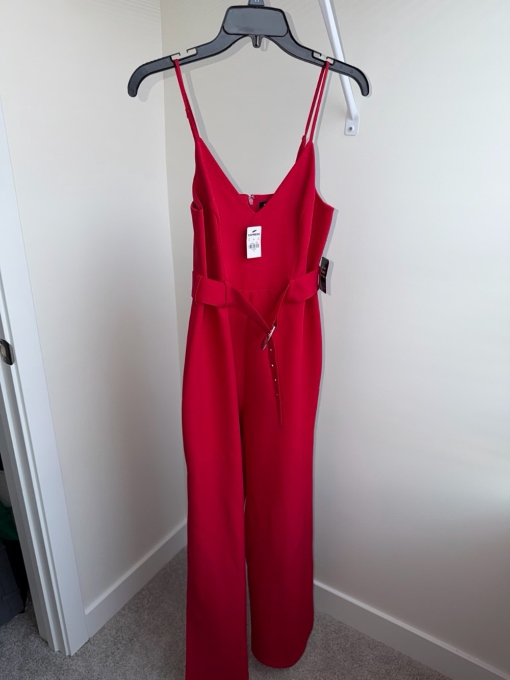 Express Red V-Neck Wide-Leg Jumpsuit with Self Tie Belt